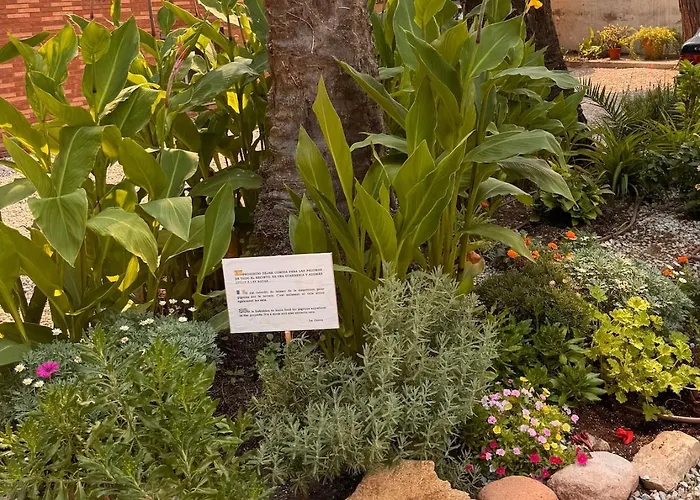 Salitre By M&pfanals ,