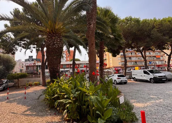 Salitre By M&pfanals ,